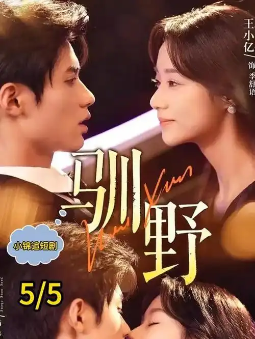 97在线免费视频都市剧十七楼的夏天封面
